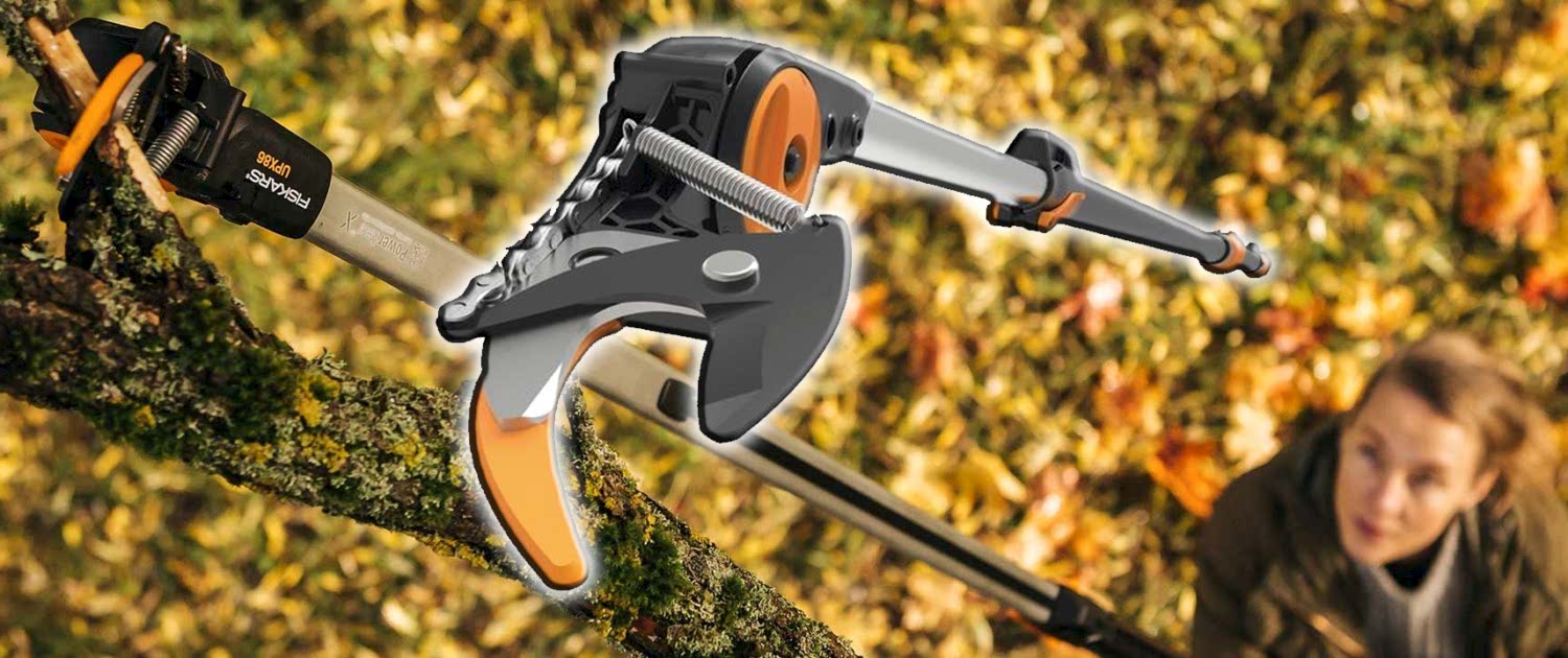 tree-pruners_header_image